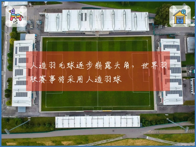 人造羽毛球逐步崭露头角，世界羽联赛事将采用人造羽球