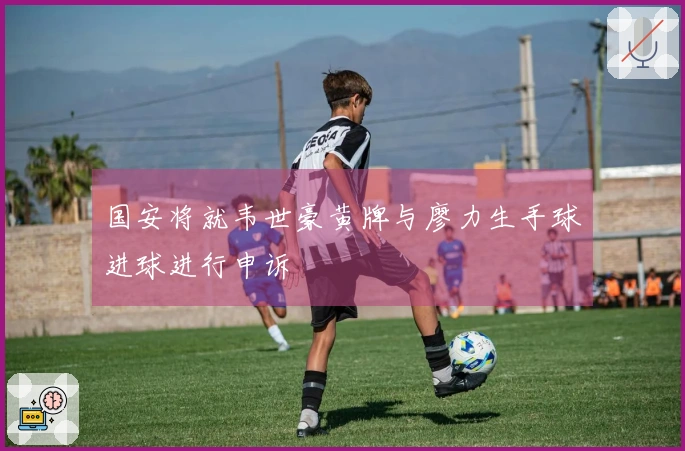国安将就韦世豪黄牌与廖力生手球进球进行申诉
